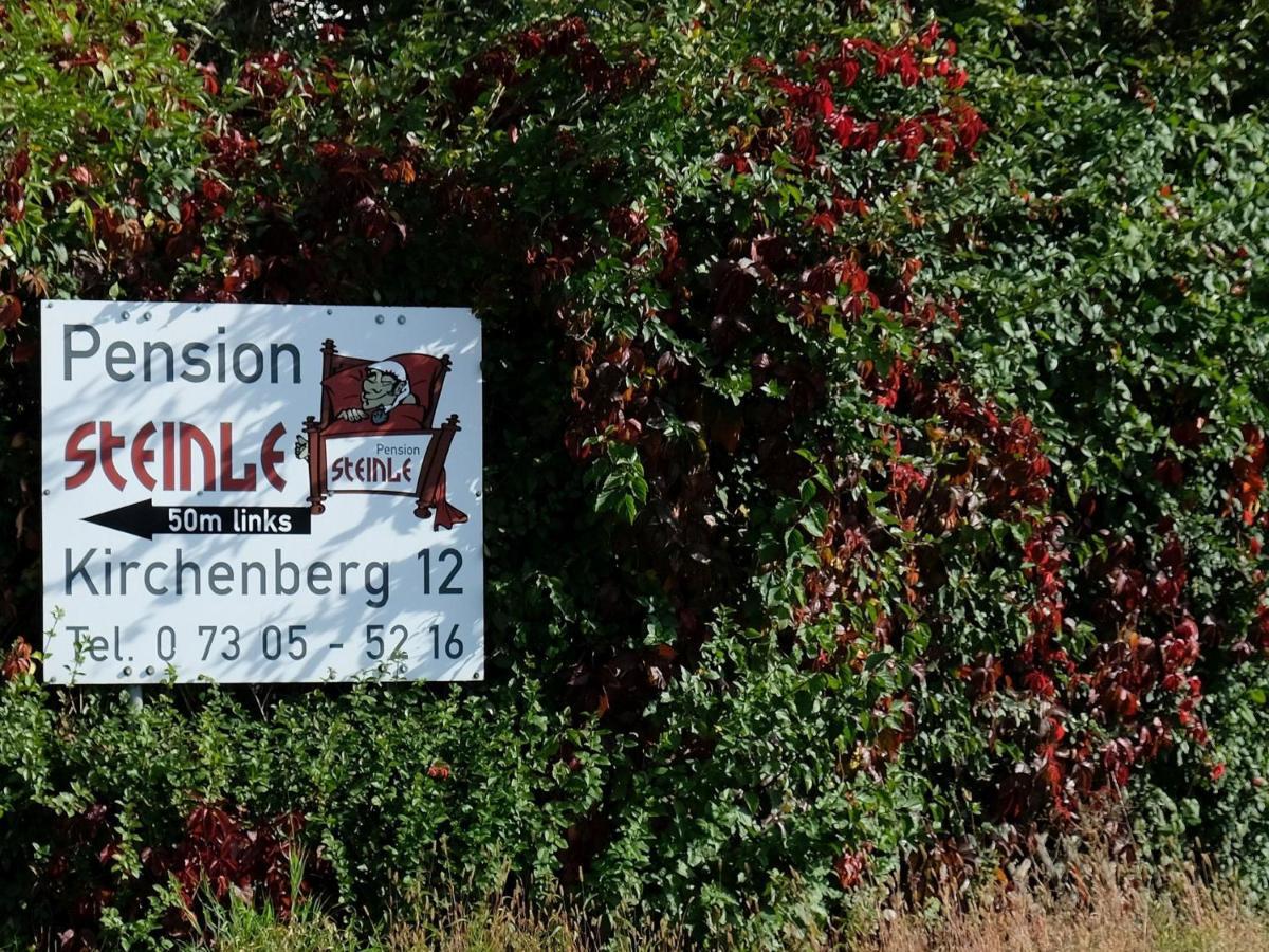 Pension Steinle Erbach an der Danau Екстериор снимка